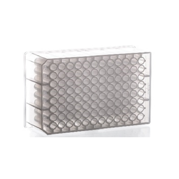 PCR Microplate 96 U-well