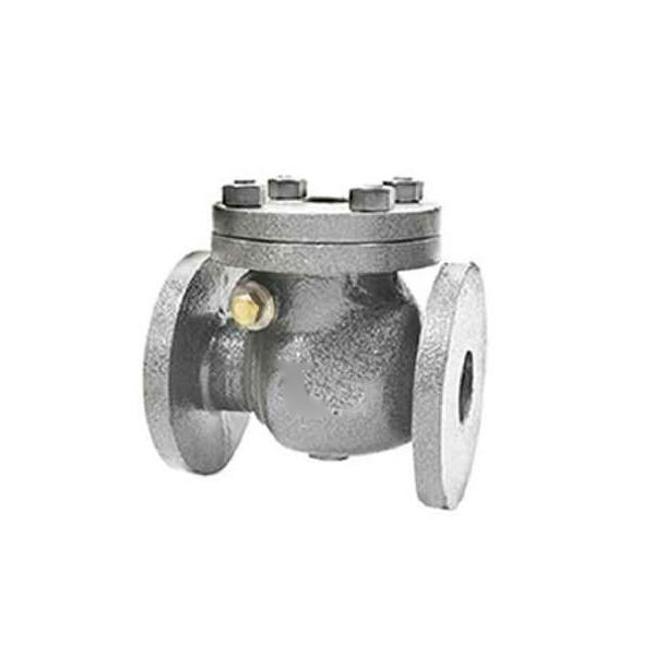 Cast Iron Check Valve