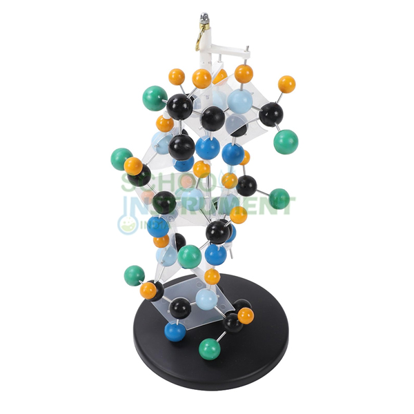 Protein Structure Model